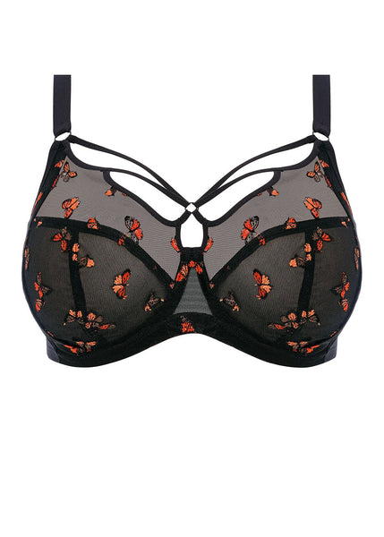 EL4353-BFL-cut-Elomi-Lingerie-Sachi-Black-Butterfly-Underwire-Plunge-Bra_893f9fad-1a0c-4e41-b70c-4a46c46eb18a_600x600.jpg