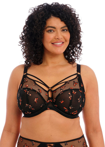 Sachi (SC) Strappy Plunge Bra EL4353 BFL - Black Butterfly