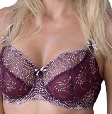 Nicole See-Thru Lace Bra B2271 - Blossom Lilac